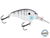 Dive Master 14