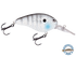 Dive Master 14