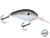 Dive Master 14