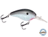 Dive Master 14