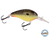 Dive Master 14
