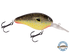 Dive Master 14