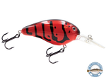 Dive Master 14