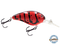 Dive Master 14