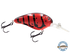 Dive Master 14