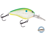Dive Master 14