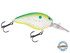 Dive Master 14