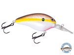Dive Master 14