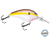Dive Master 14