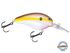 Dive Master 14