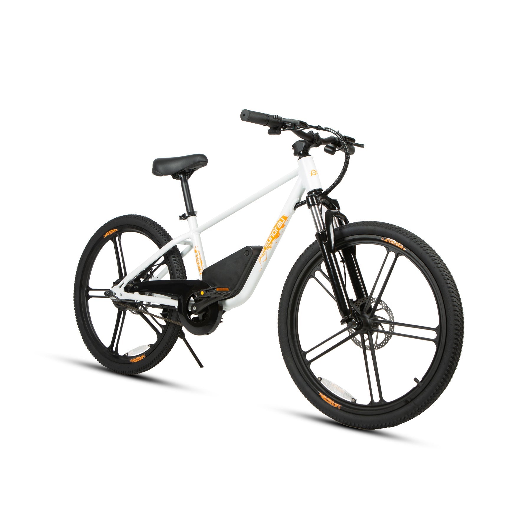 EKIDS24 1.0 -Electric Bicycle