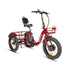 NEW-TRIKE 2.0 - Electric Bicycle