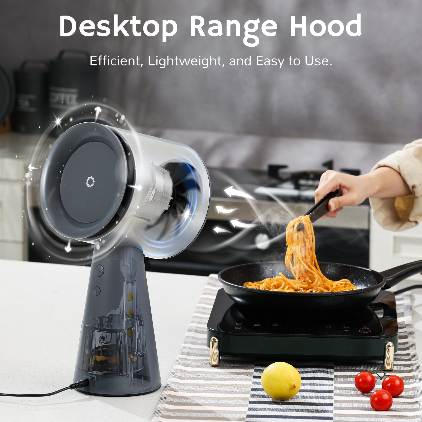 RH180 Portable Desktop Range Hood - Tundra Globe