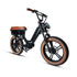 FLASH LITE  ST 1.0 - Electric Bicycle