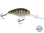 Dive Master 20