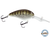 Dive Master 20