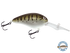 Dive Master 20