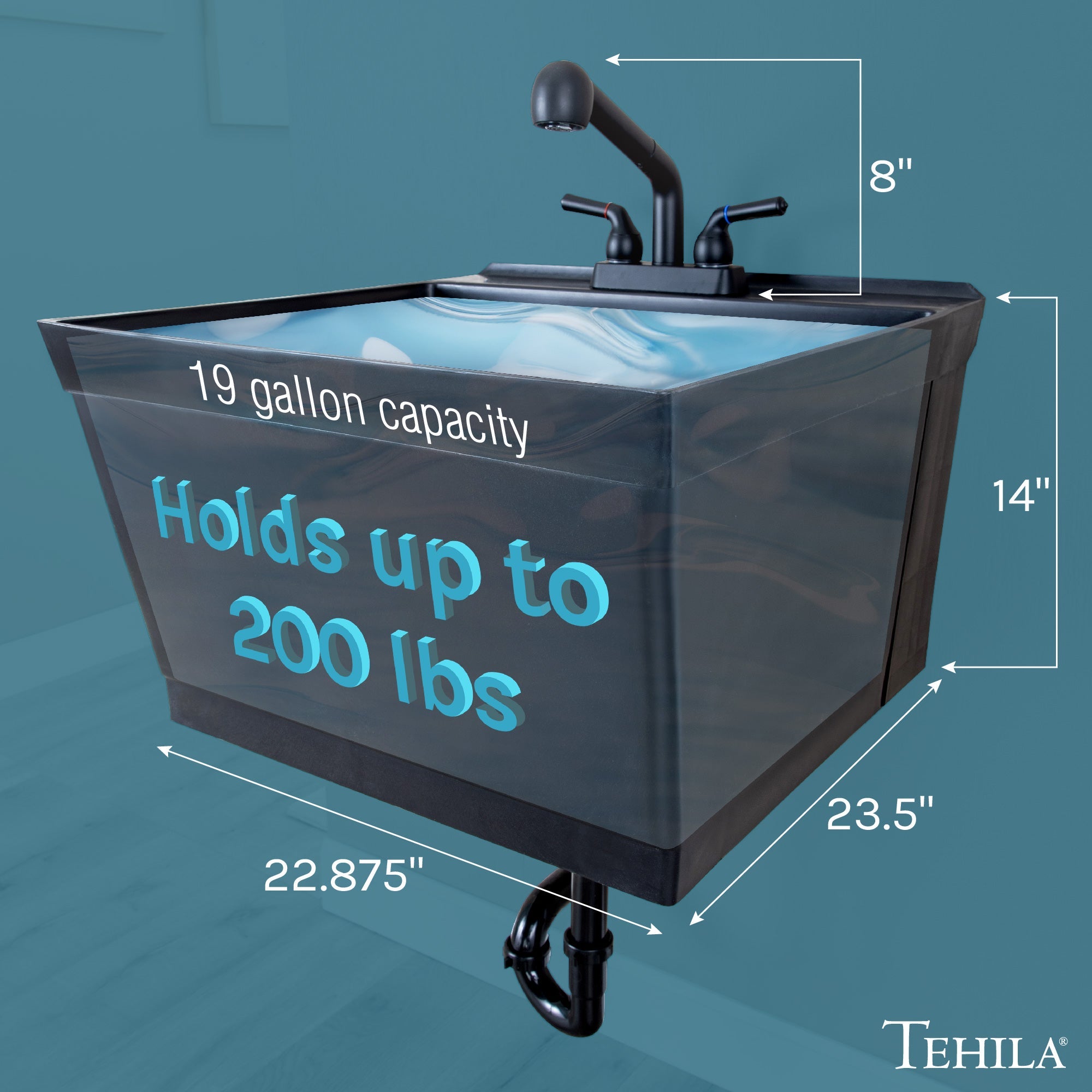 Tehila Standard Wall-Mounted Black Utility Sink with Black Finish Pull-Out Faucet