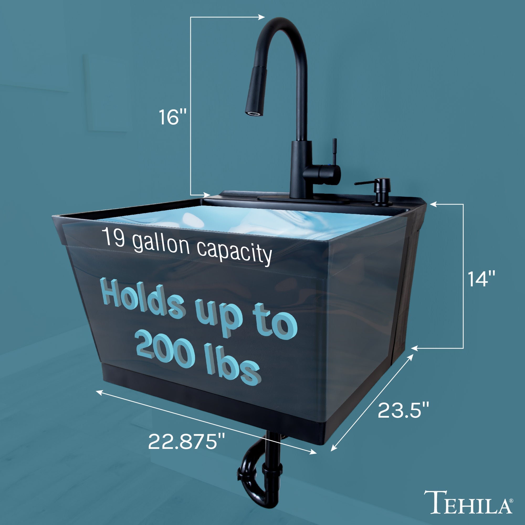 Tehila Standard Wall-Mounted Black Utility Sink with Black Finish Pull-Down Faucet