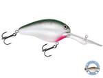 Dive Master 20