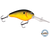Dive Master 20