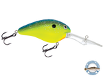 Dive Master 20