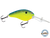 Dive Master 20