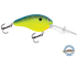 Dive Master 20