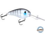 Dive Master 20