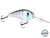 Dive Master 20