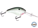 Dive Master 20