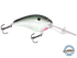 Dive Master 20