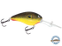 Dive Master 20