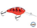Dive Master 20