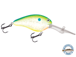 Dive Master 20