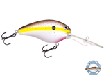 Dive Master 20