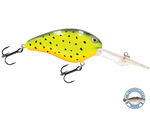 Dive Master 20