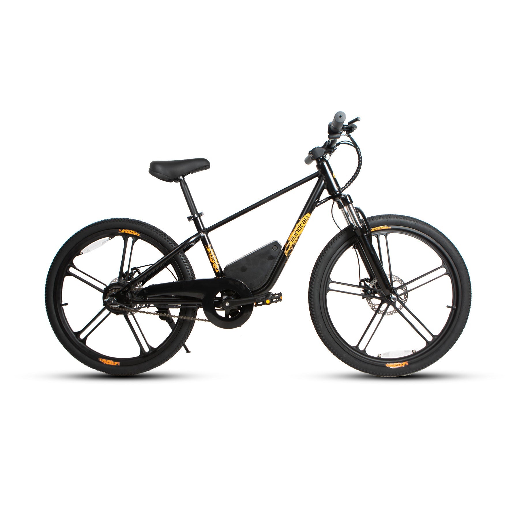 EKIDS24 1.0 -Electric Bicycle