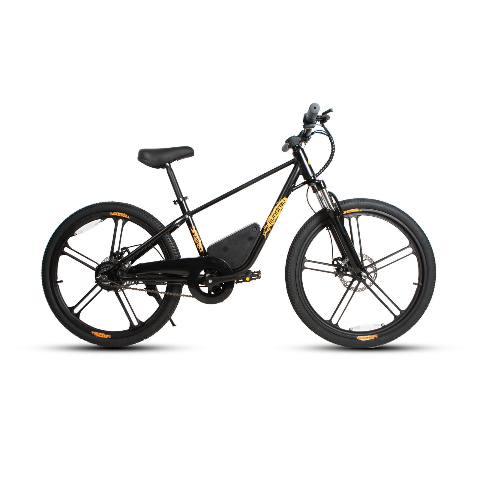 EKIDS24 1.0 -Electric Bicycle