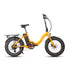 E-FAT-STEP - Electric Bicycle