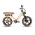 FLASH LITE  ST 1.0 - Electric Bicycle