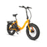 E-FAT-STEP - Electric Bicycle