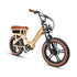 FLASH LITE  ST 1.0 - Electric Bicycle