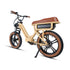FLASH LITE  ST 1.0 - Electric Bicycle