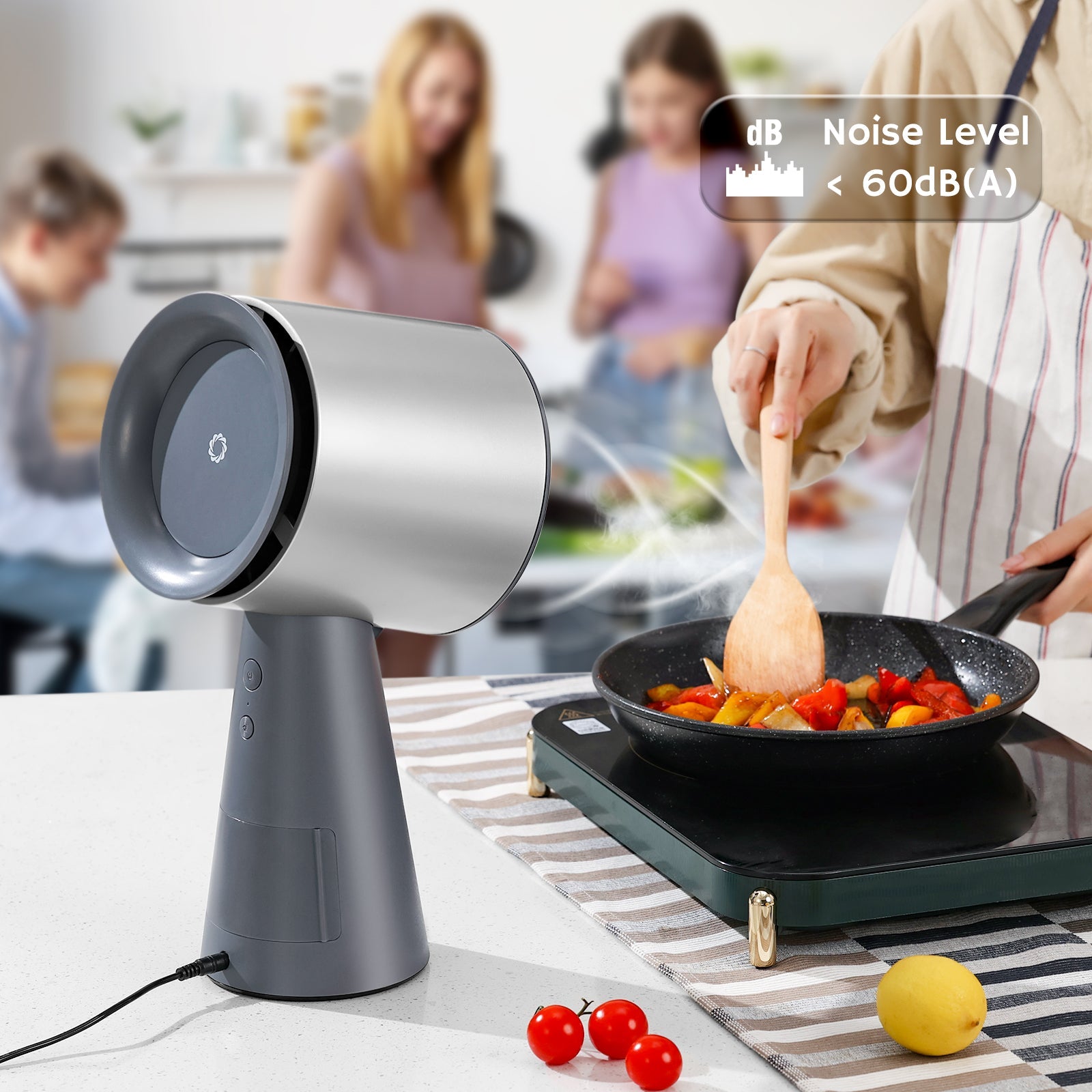 RH180 Portable Desktop Range Hood - Tundra Globe