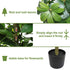 Realistic Faux Tree With Lifelike Foliage For Indoor And Outdoor Use - Green