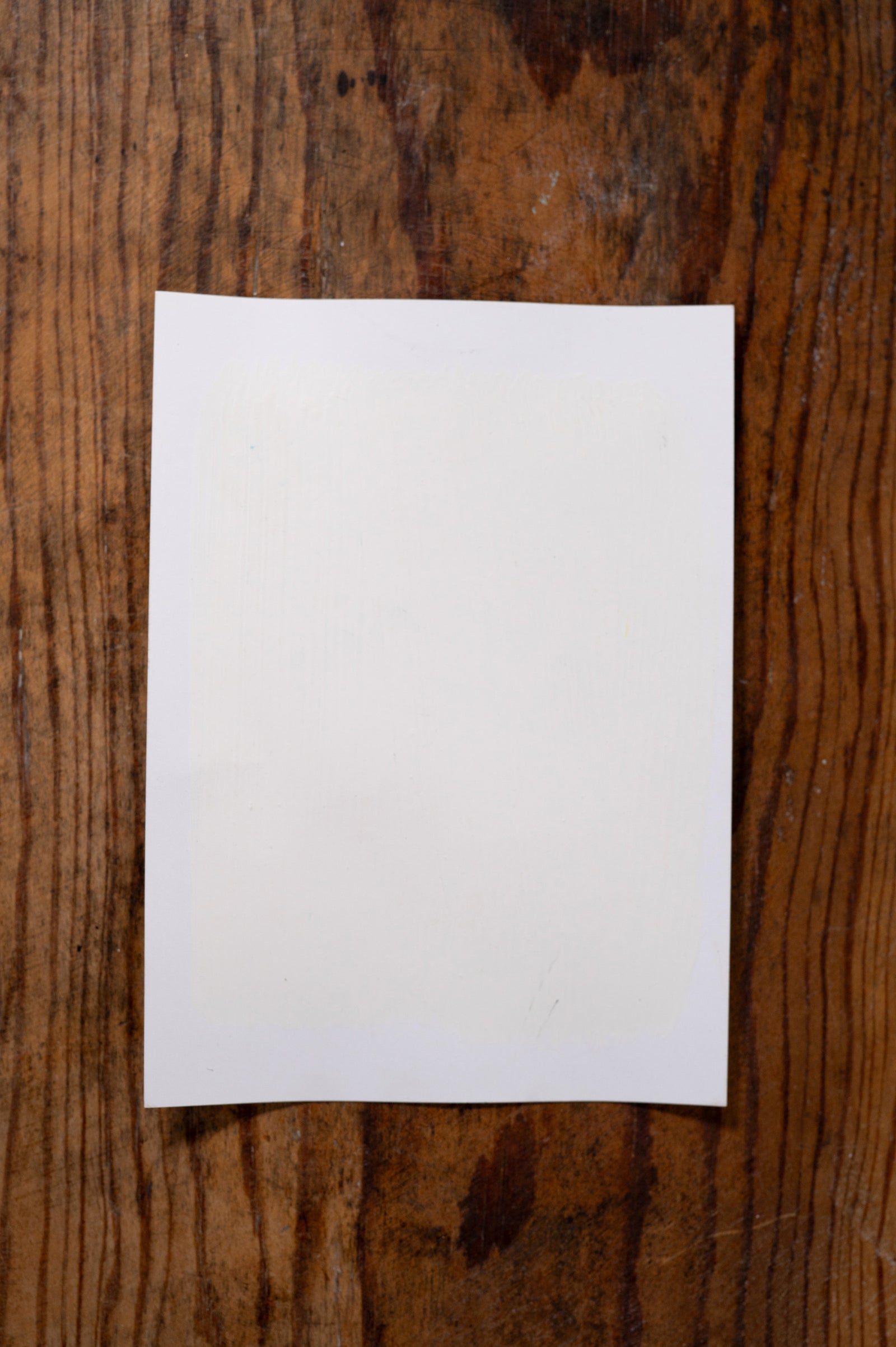 Momma's Pearls - Manor Borne Wall Paint