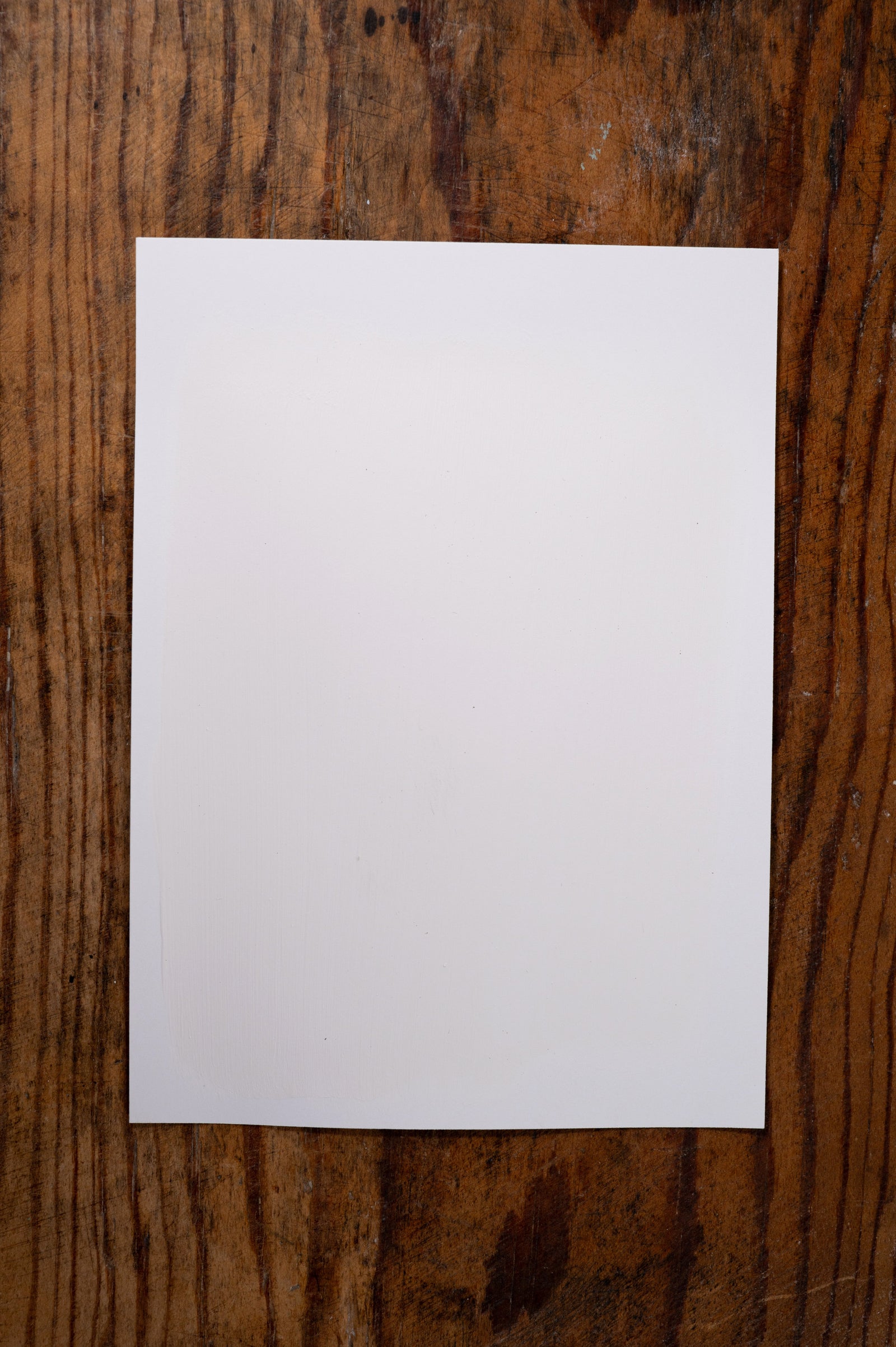 Beautiful Bride - Manor Borne Wall Paint