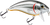 Bull Nose