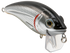 Bull Nose